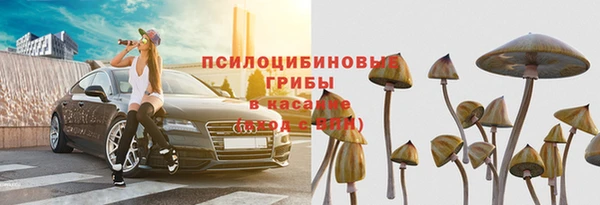 прущие грибы Армянск