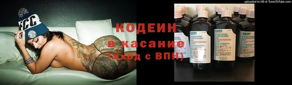 прущие грибы Армянск