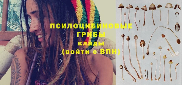 экстази Арсеньев