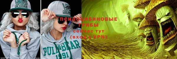 экстази Арсеньев