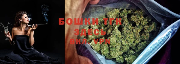 прущие грибы Армянск