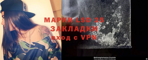 сатива Аркадак