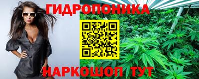 прущие крисы Тверь