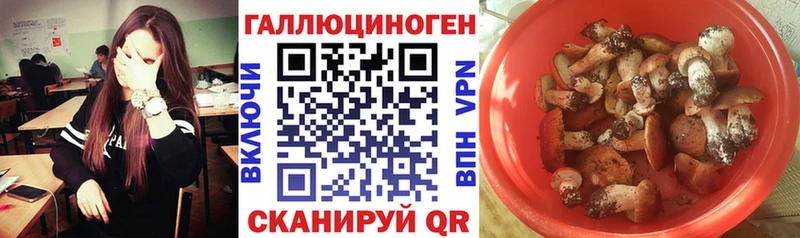 Псилоцибиновые грибы MAGIC MUSHROOMS Пенза