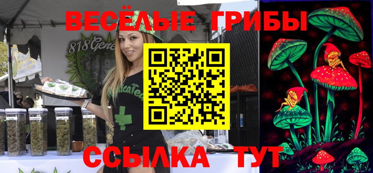 Псилоцибиновые грибы мухоморы  Вход с VPN  Пенза 